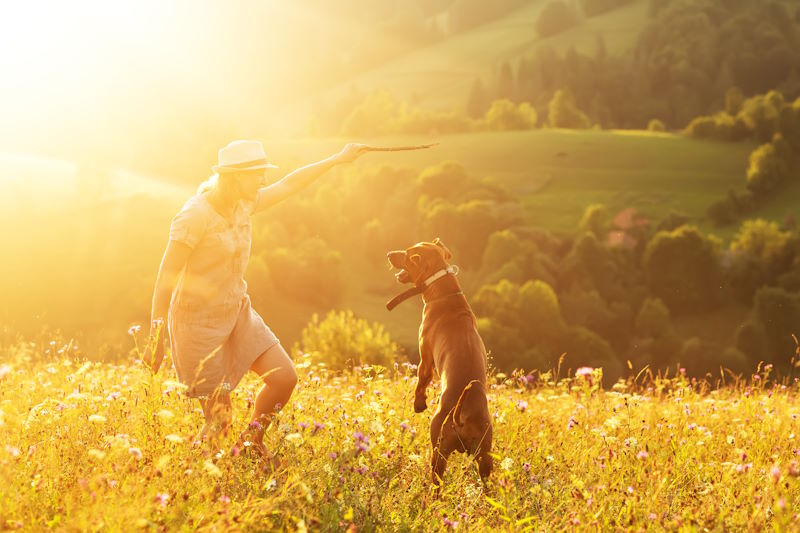 A woman holding a stick near a dog jumping in the air.
